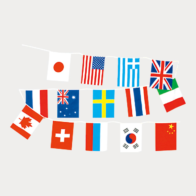 連続万国旗 30ヶ国組