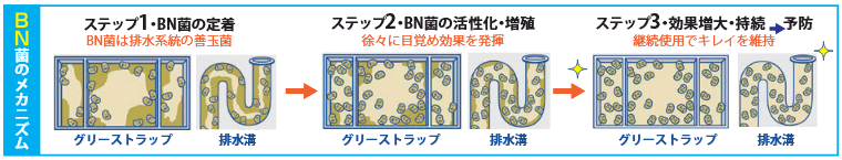 bnクリーンのメカニズム